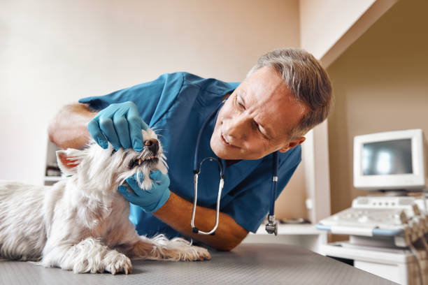 Best Emergency Tooth Extraction in Tequesta, FL